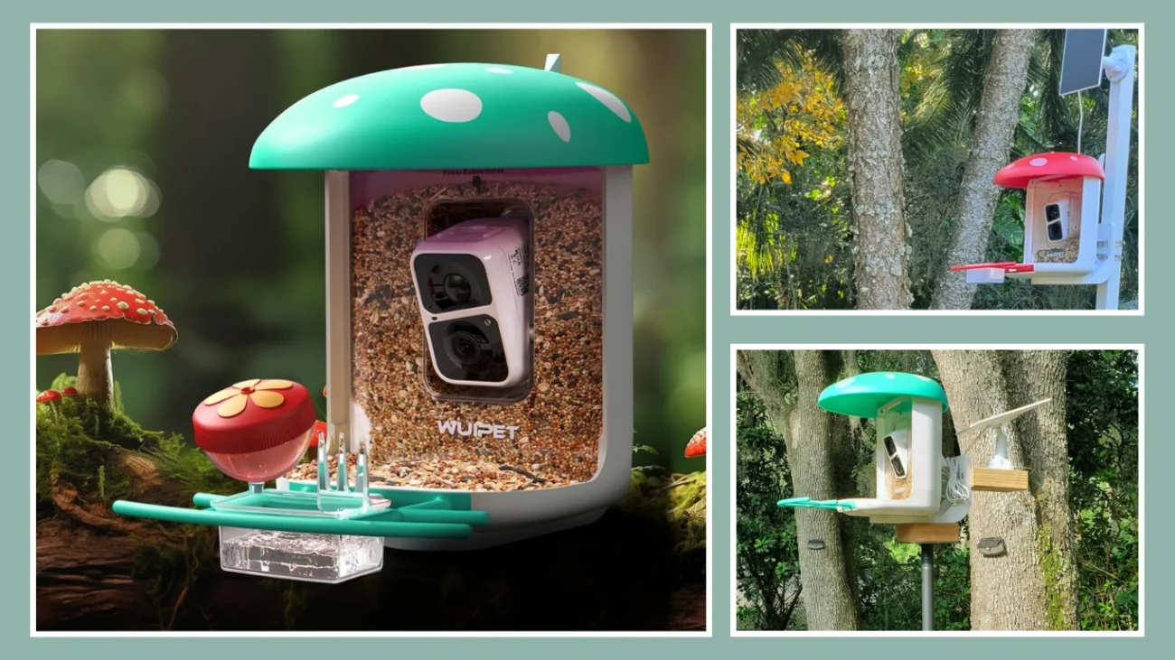 WUIPET Bird Feeder with Wireless Outdoor Camera