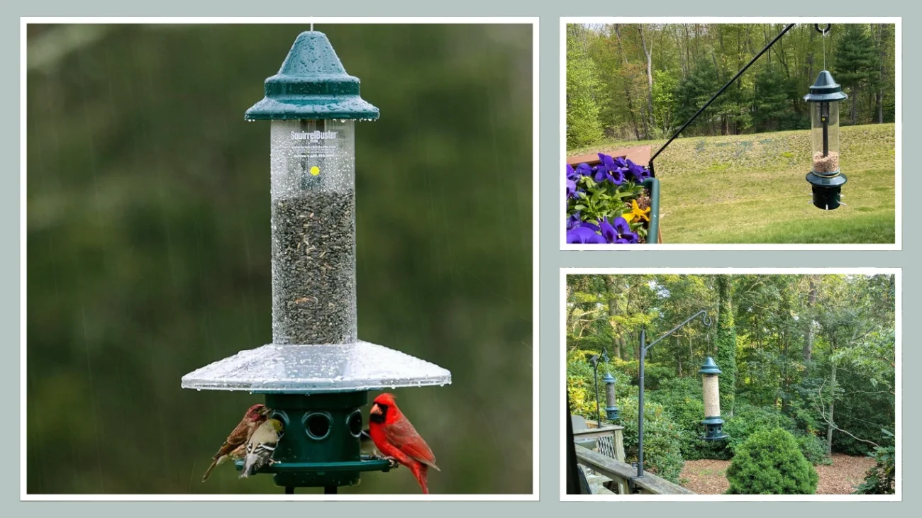 Wild Birds Unlimited No-Waste Seed Feeder