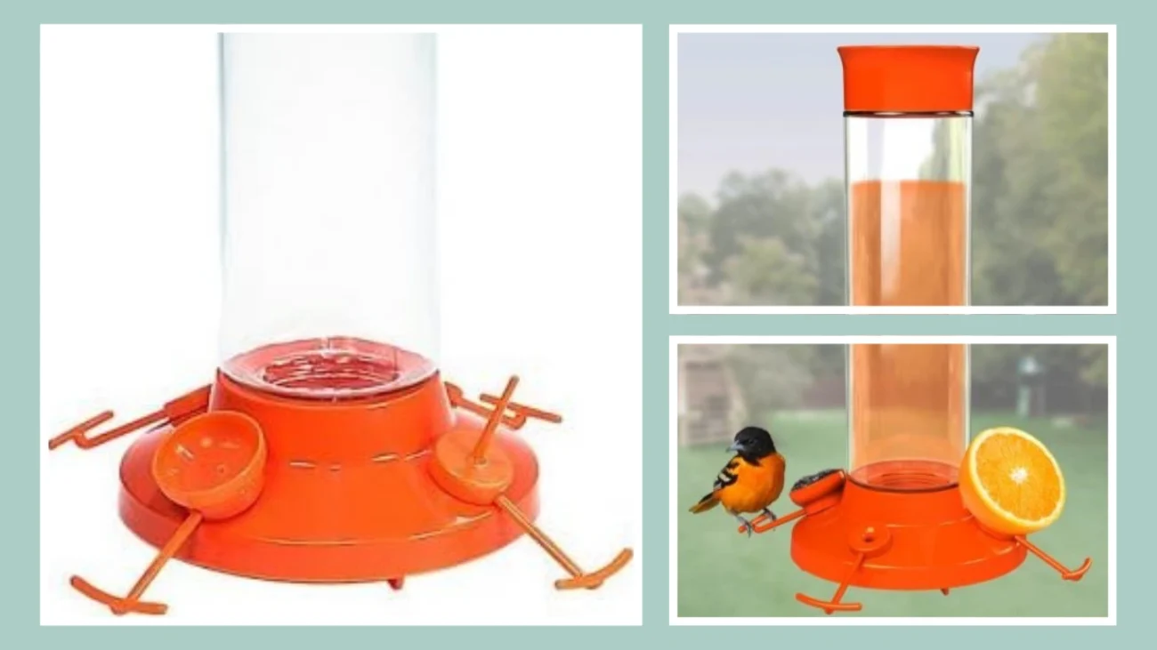 Woodstream Birding Glass Oriole Feeder
