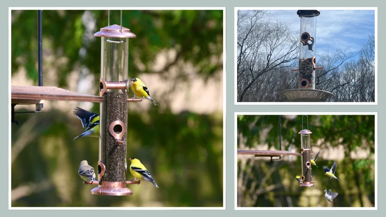iBorn Metal Bird Feeders Brushed Copper Wild Bird Feeder for Outdoors.