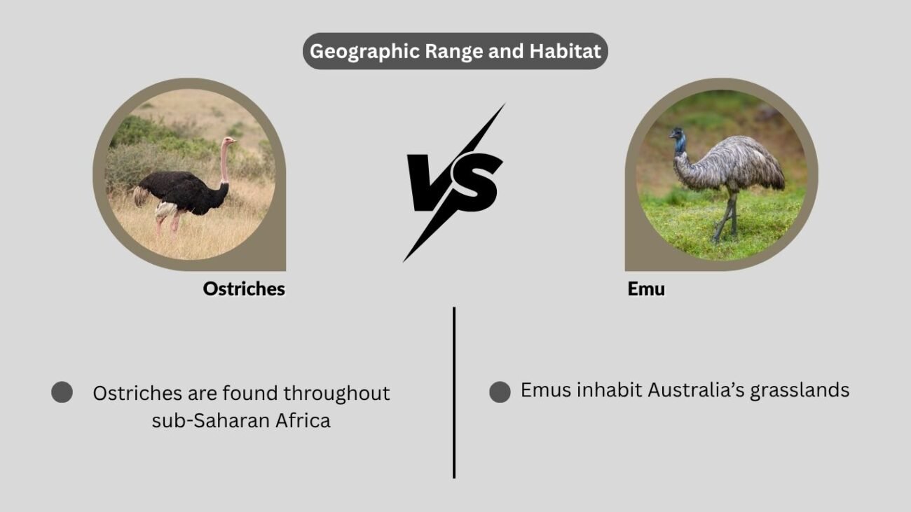 Geographic Range and Habitat