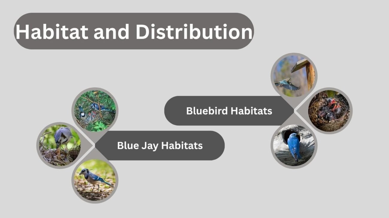 Habitat and Distribution