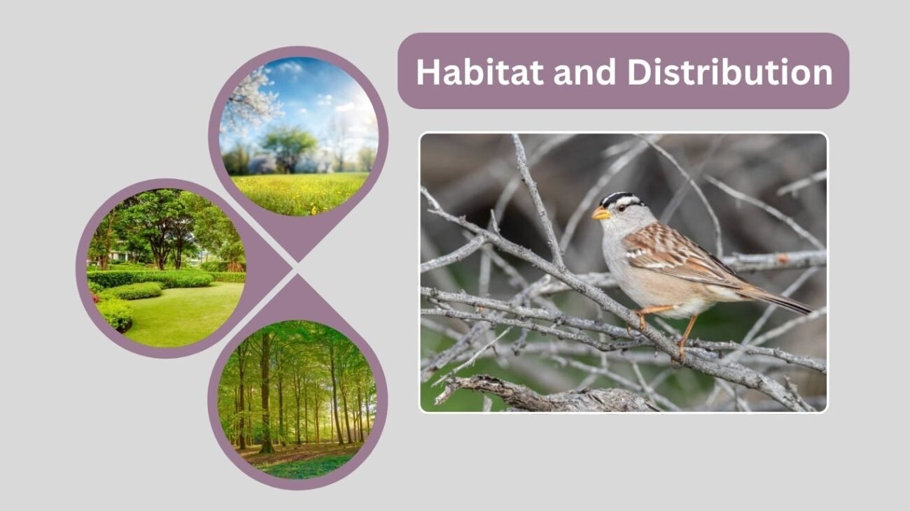 Habitat and Distribution