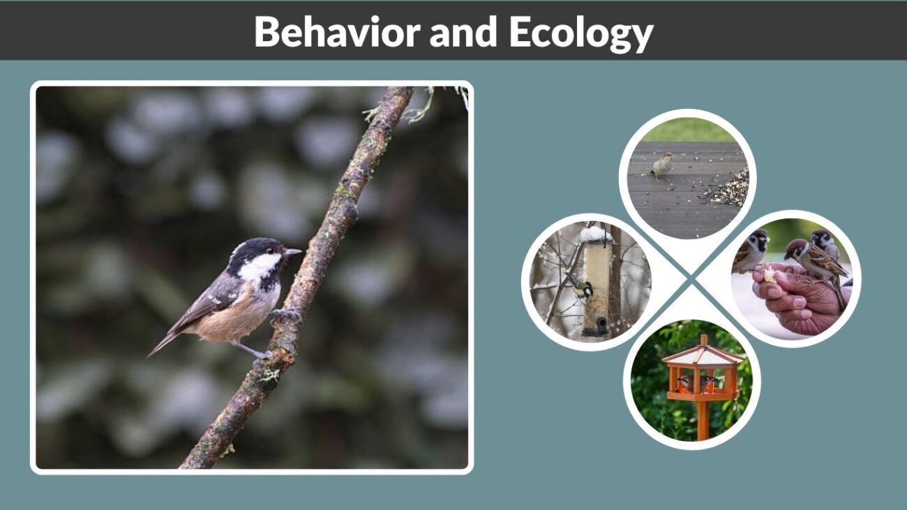 Behavior and Ecology