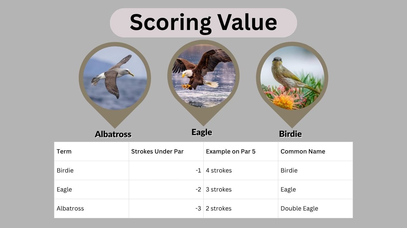 Birdie, Eagle, and Albatross in Golf: 10 Key Differences Explained