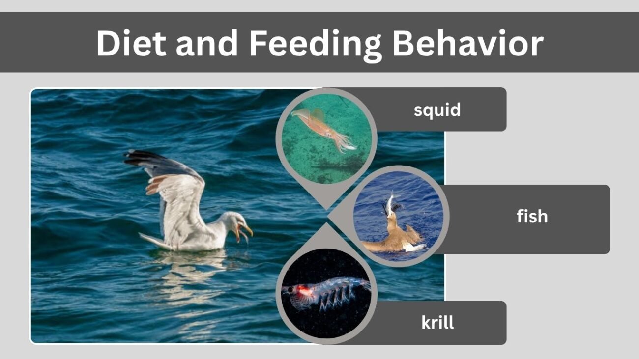 Diet and Feeding Behavior