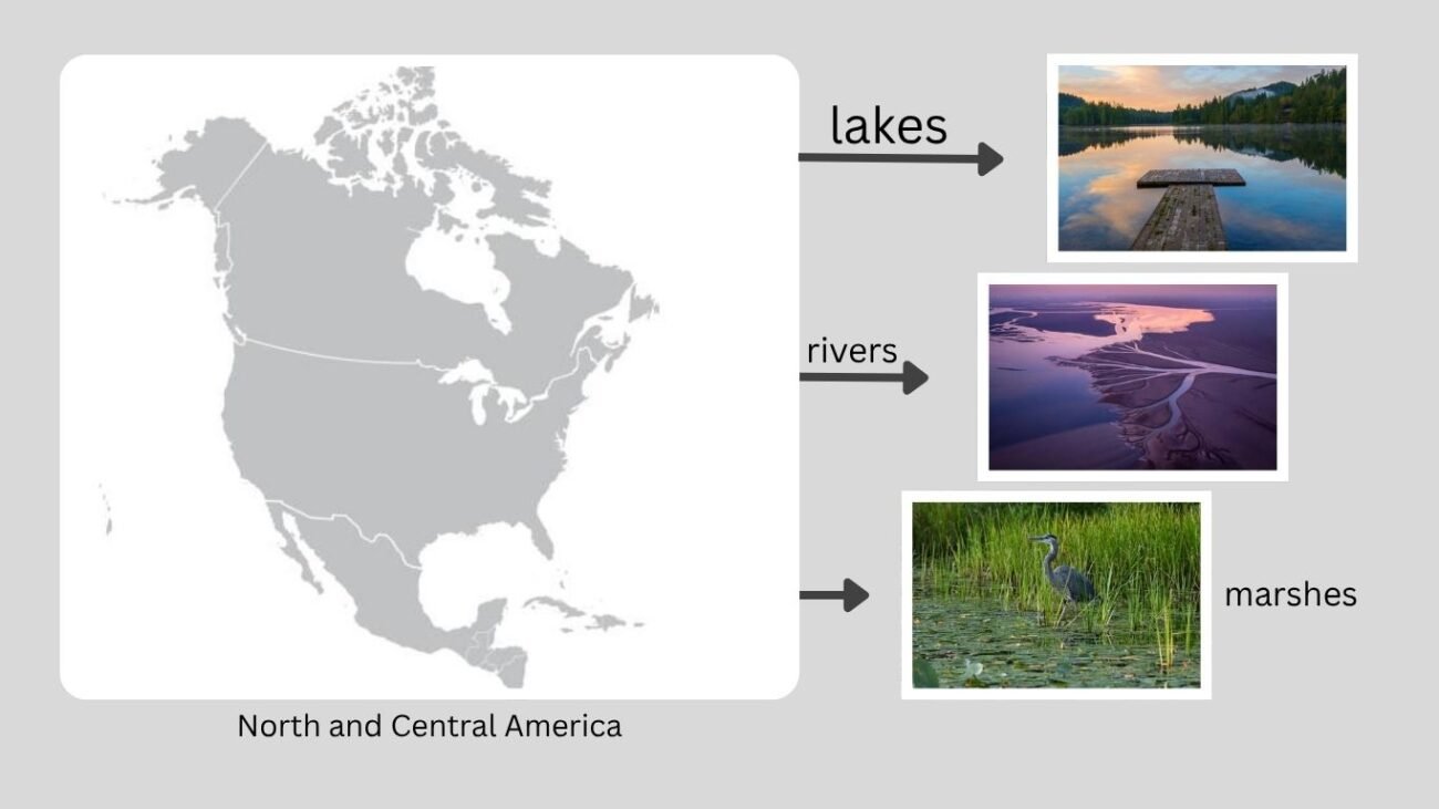 Habitat and Distribution