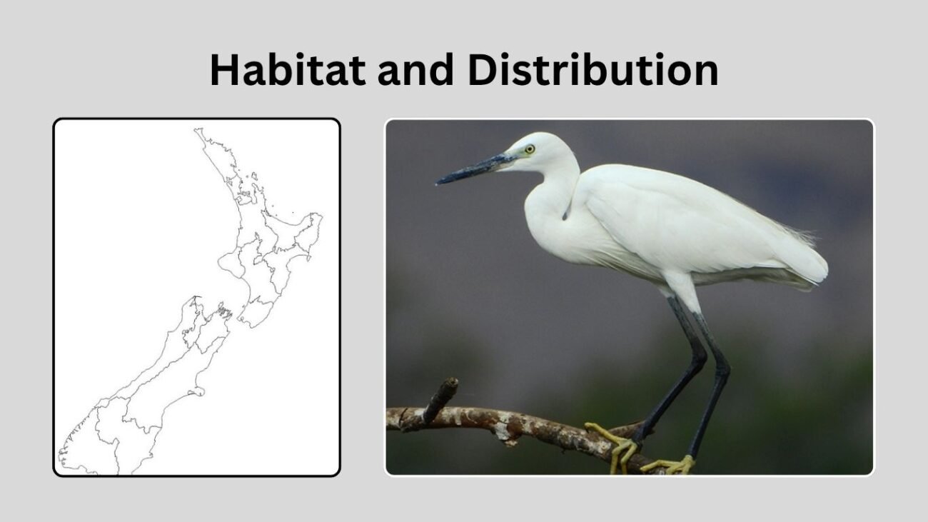 Habitat and Distribution
