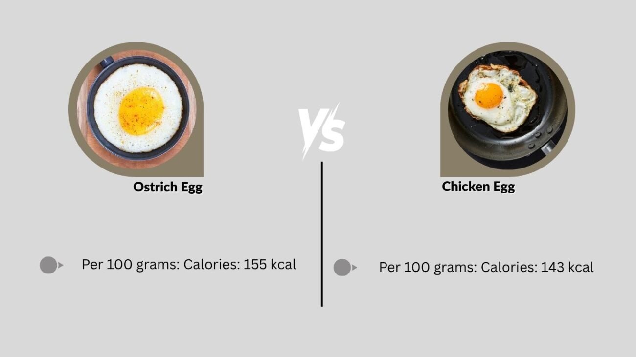 Nutritional Comparison: Ostrich Egg vs Chicken Egg