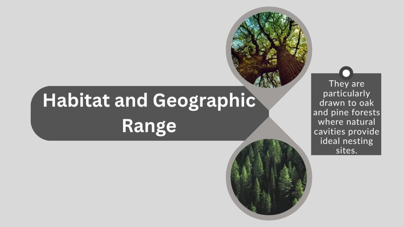 Habitat and Geographic Range