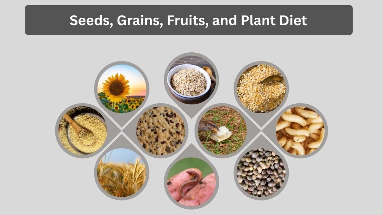 Seeds, Grains, Fruits, and Plant Diet