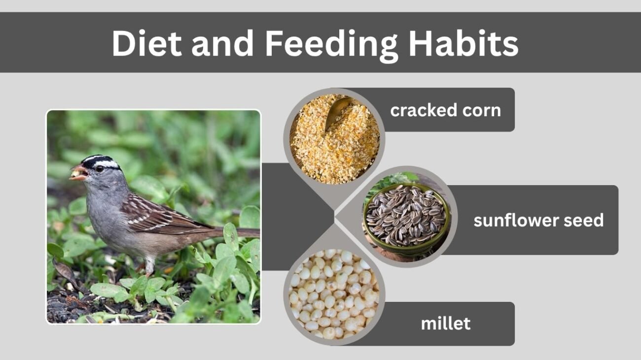 Diet and Feeding Habits