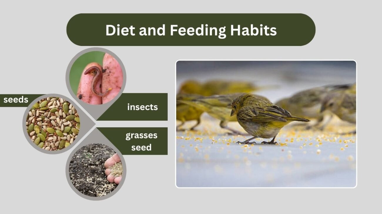 Diet and Feeding Habits