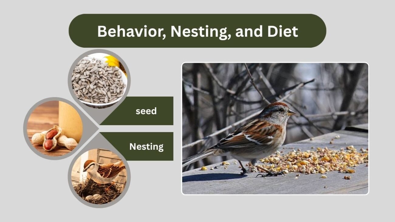Behavior, Nesting, and Diet