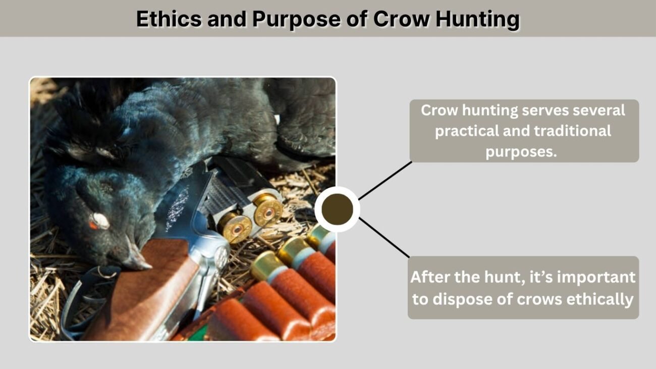 Ethics and Purpose of Crow Hunting