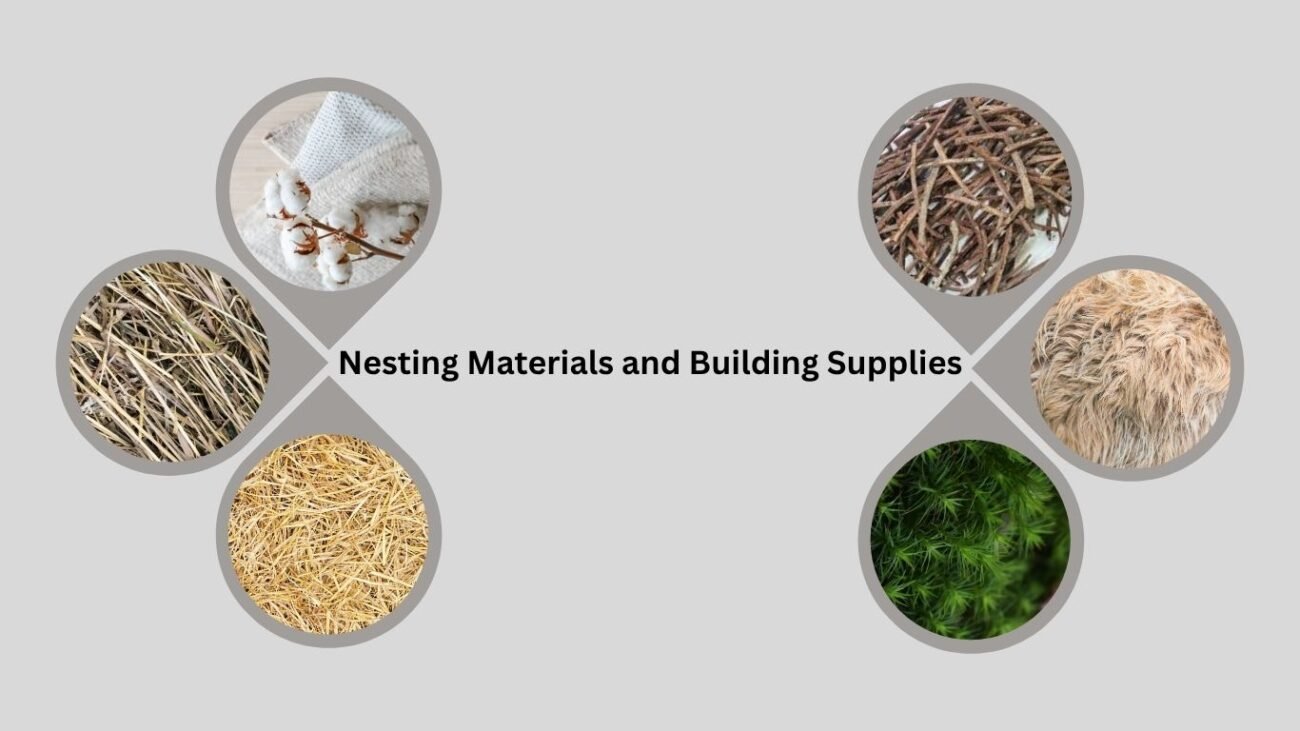 Finch Nests: identification with Picture