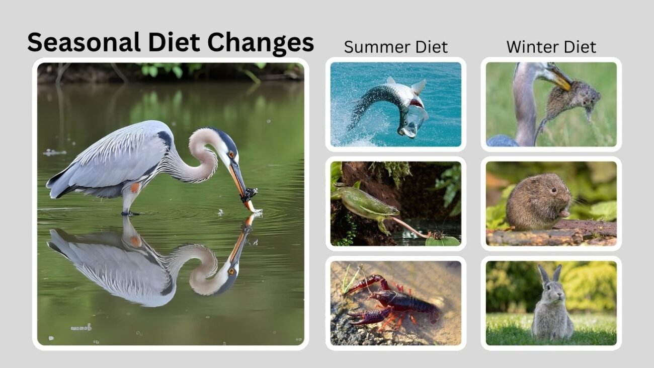 Seasonal Diet Changes