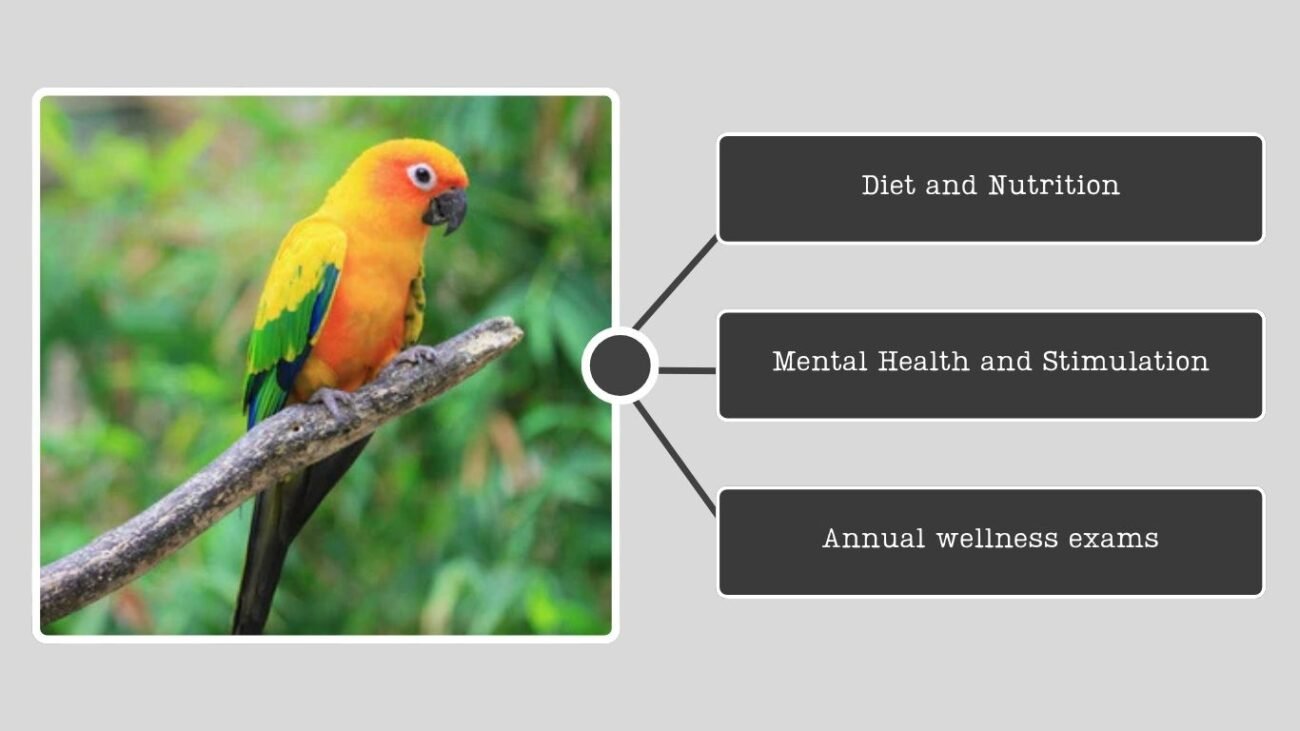 Why Some Parrots Live Longer Than Others