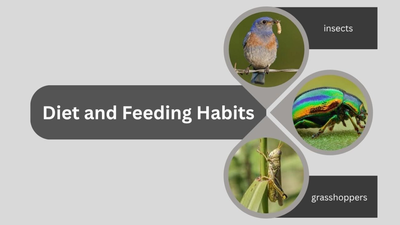 Diet and Feeding Habits