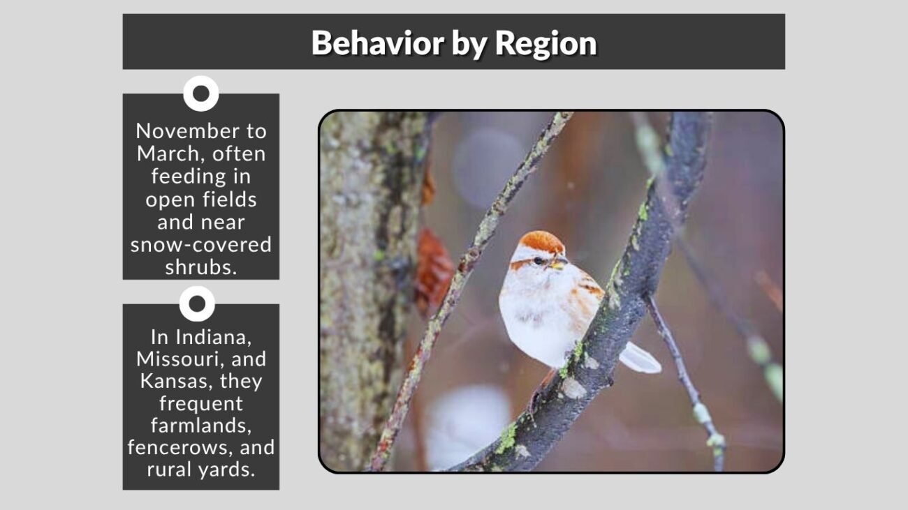 Behavior by Region