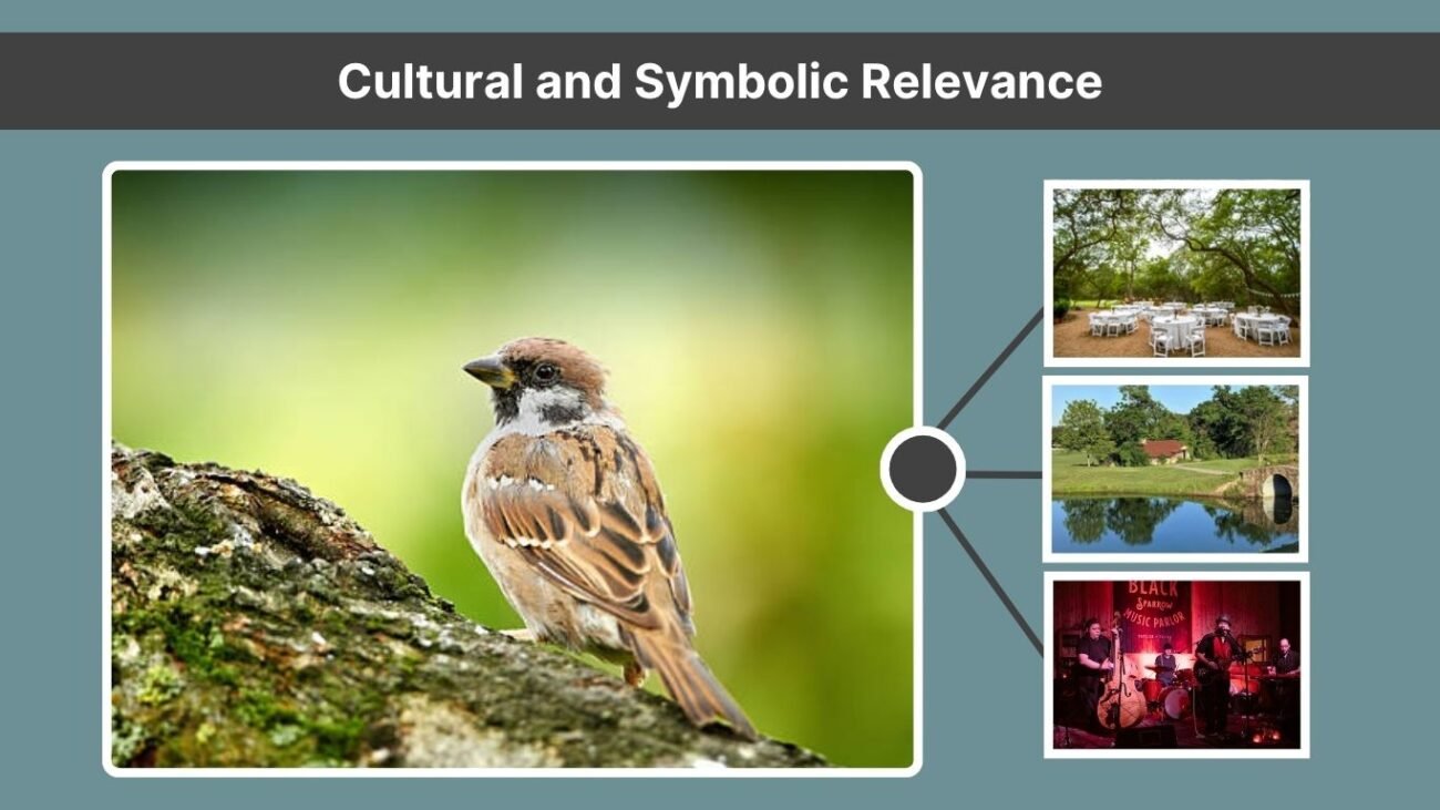 Cultural and Symbolic Relevance