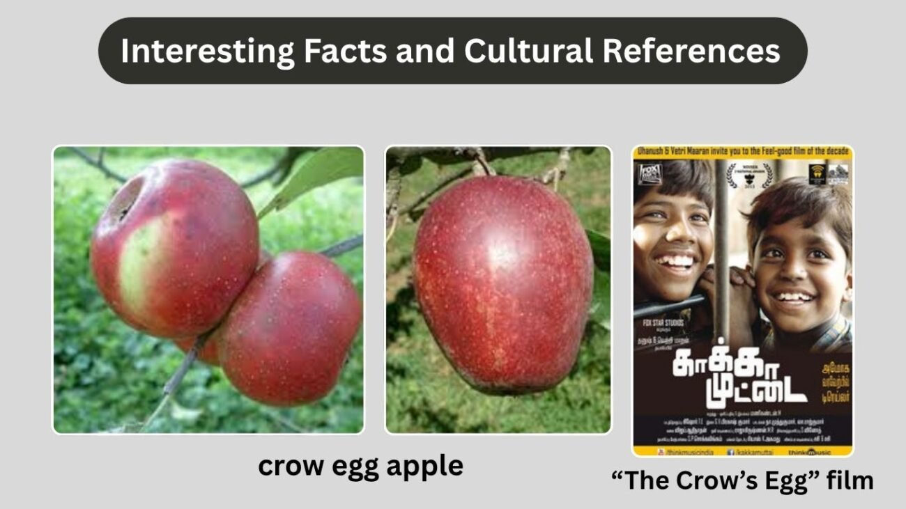 Interesting Facts and Cultural References