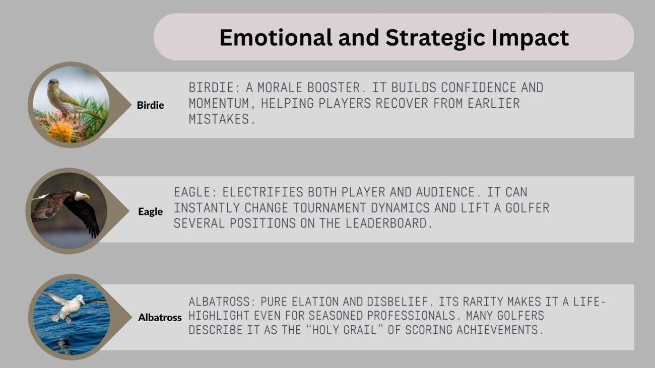 Emotional and Strategic Impact