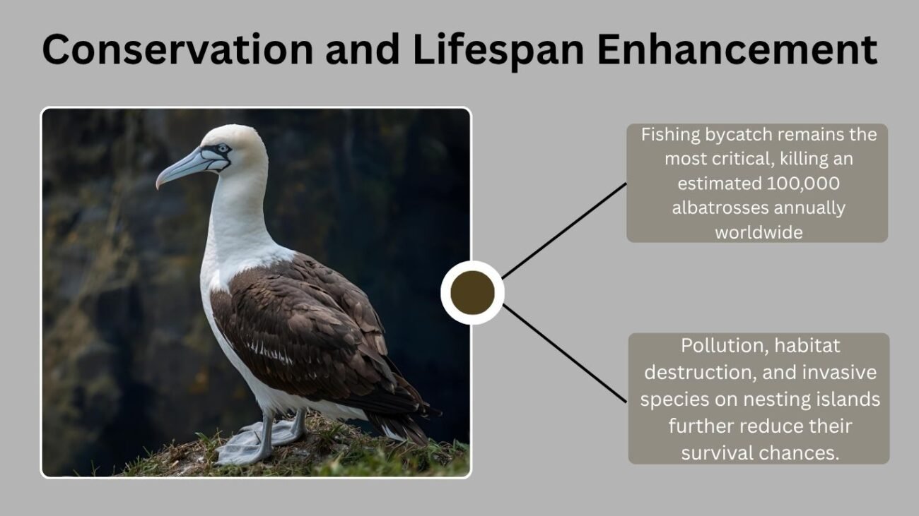 Conservation and Lifespan Enhancement