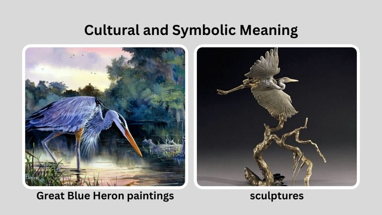 Cultural and Symbolic Meaning