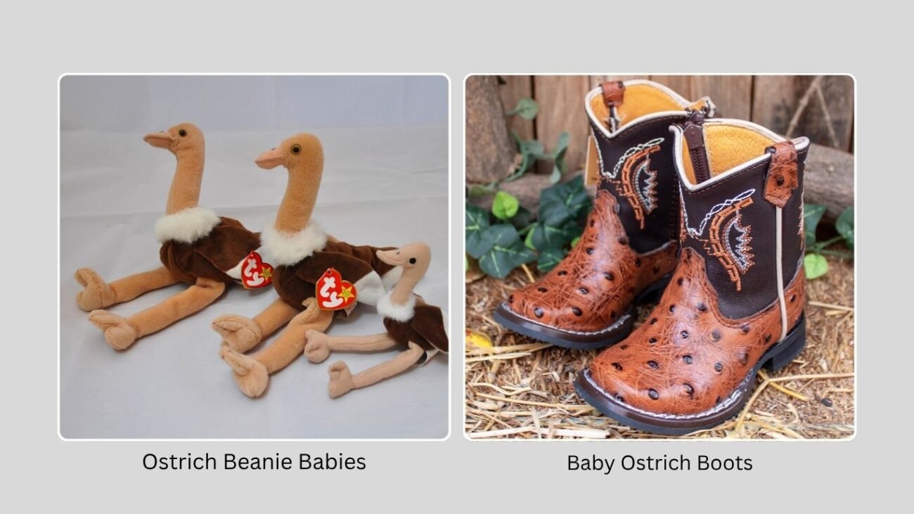 Fashion and Collectibles