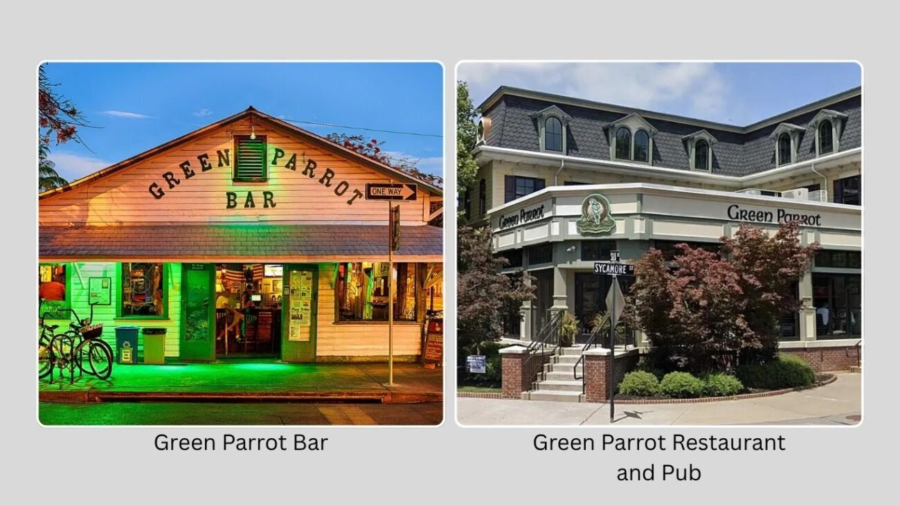 Famous “Green Parrot” Locations