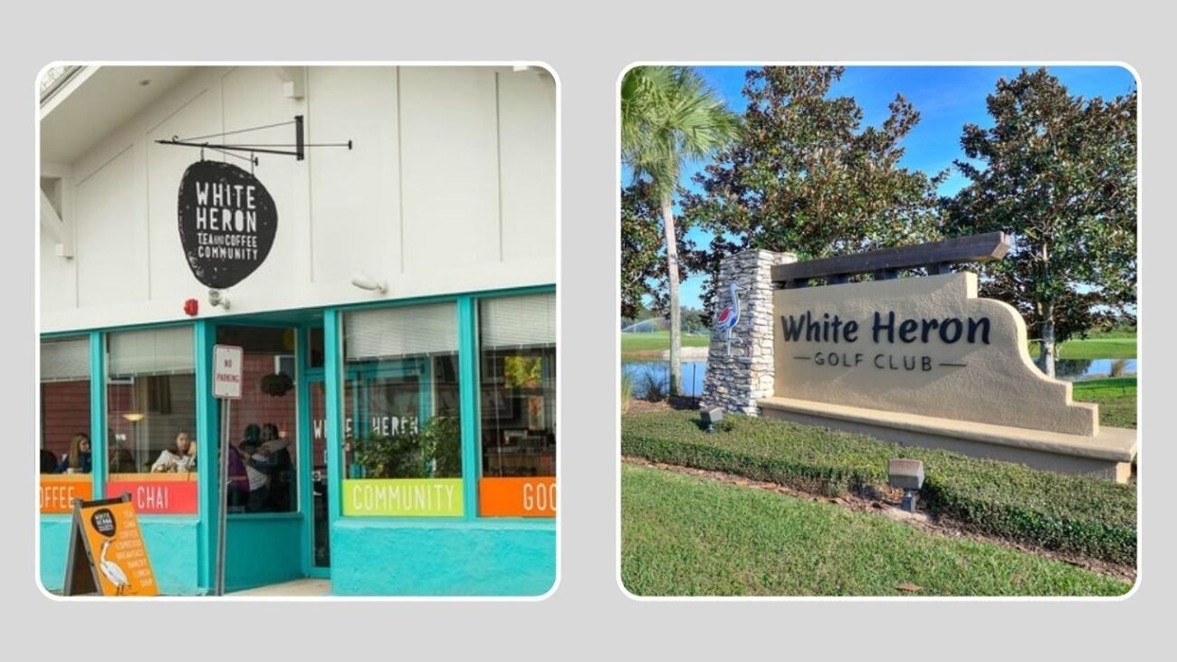 Modern References and Places Named “White Heron”