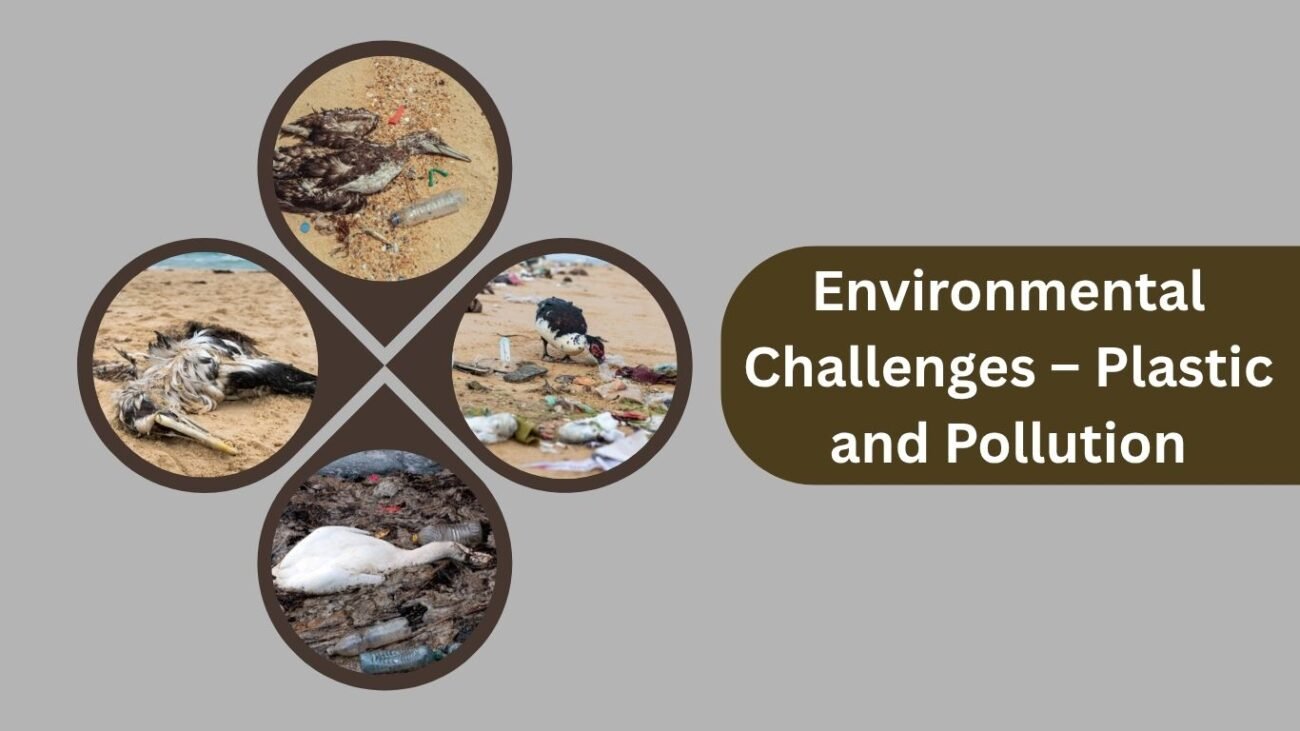 Environmental Challenges – Plastic and Pollution