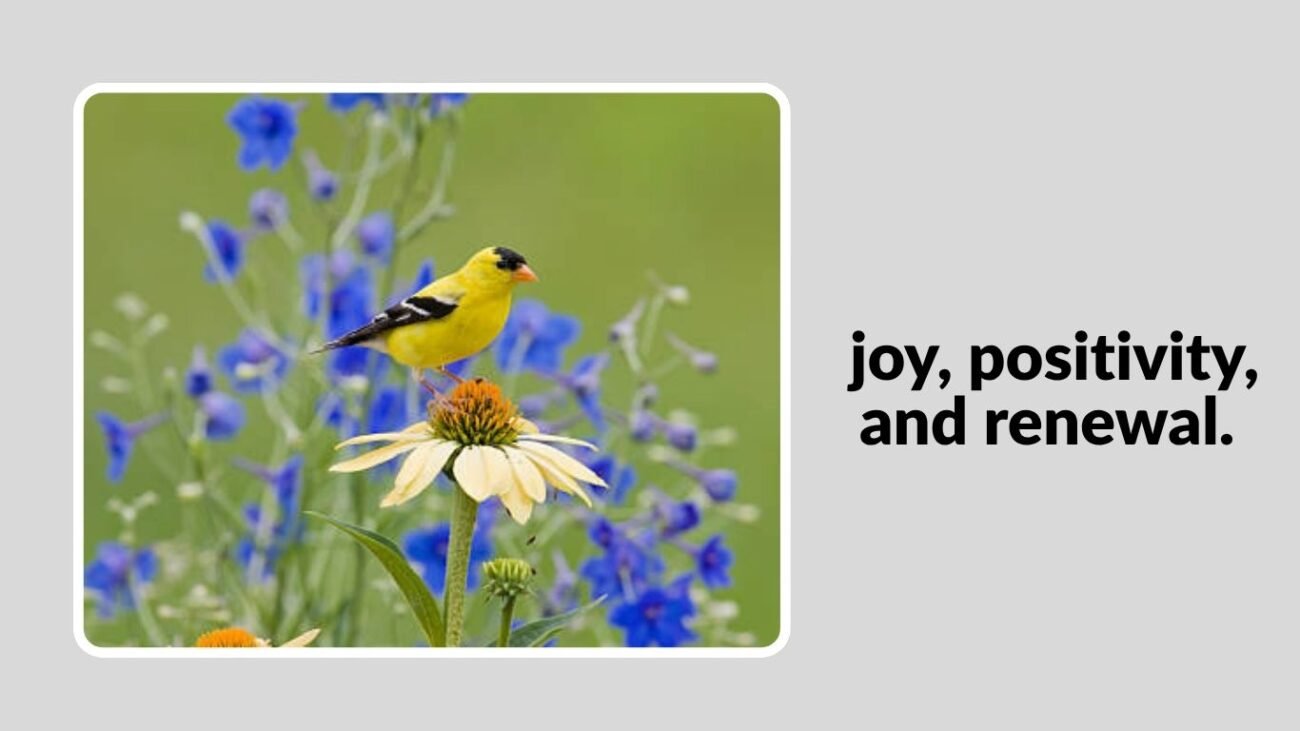 Symbolism and Spiritual Meaning of the Yellow Finch