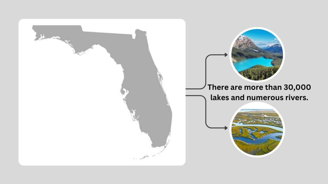 Why Florida Is a Heron Paradise