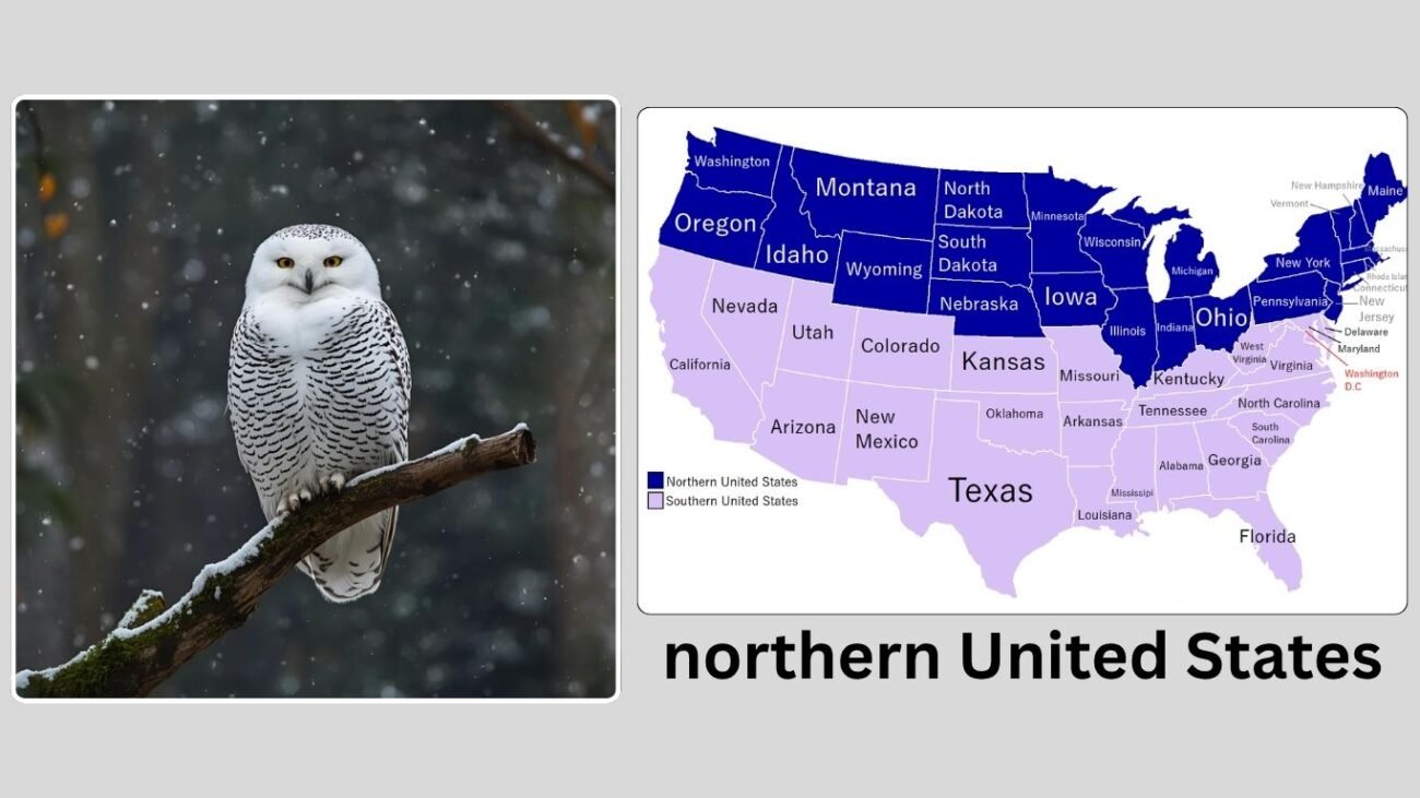 Habitat and Distribution
