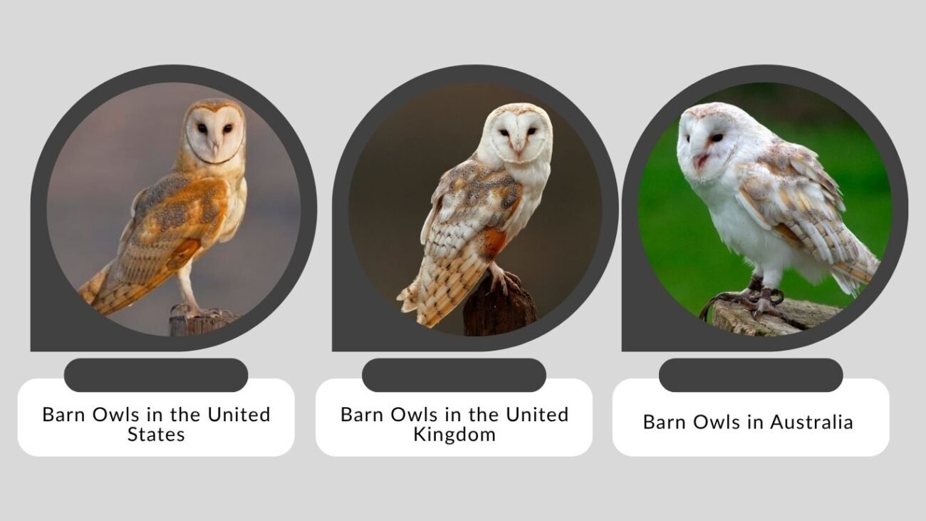 Habitat in Different Regions