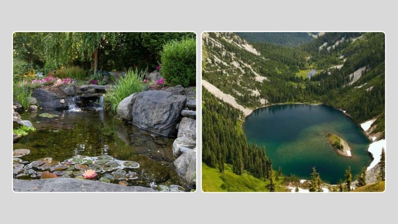 Typical Habitats of Herons