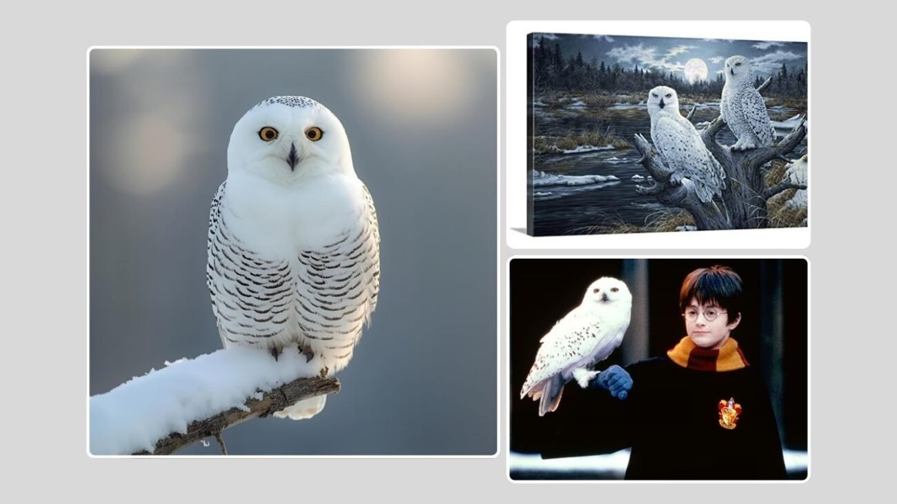 Snowy White Owl in Literature and Art