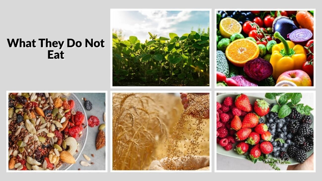 What They Do Not Eat