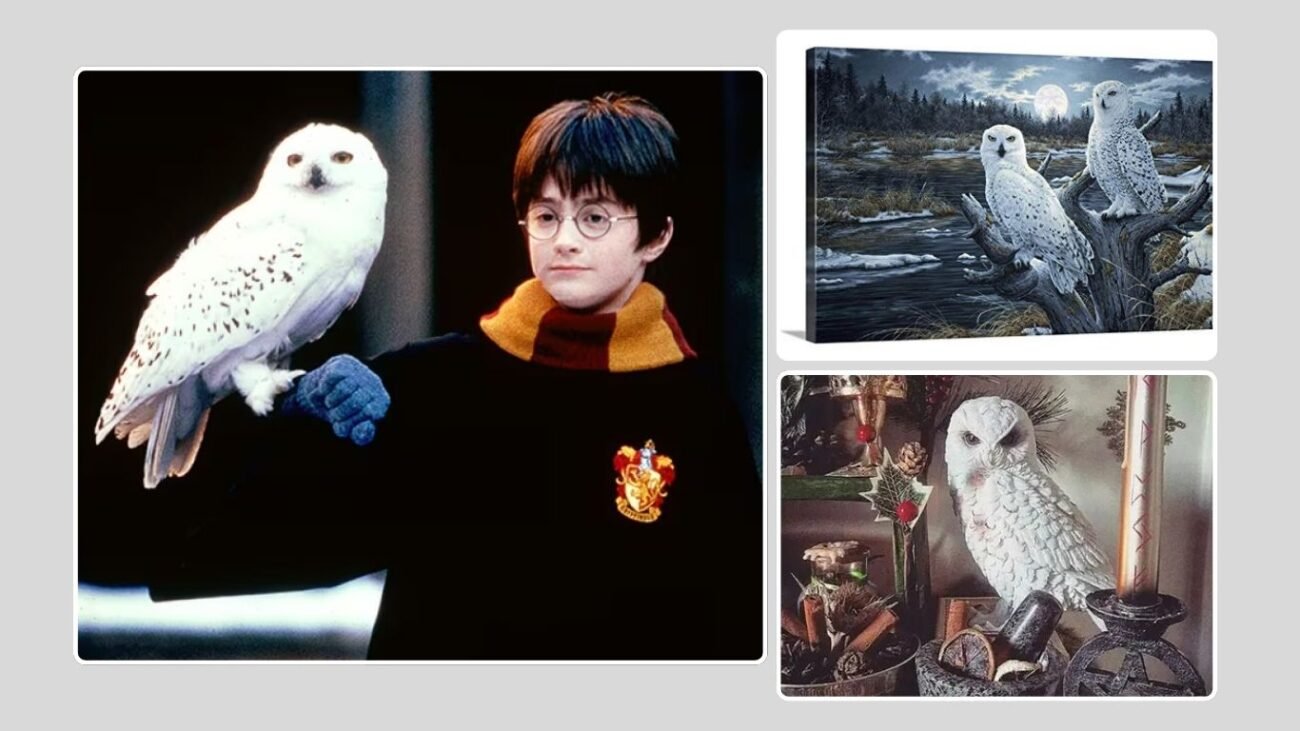 Great White Owl Symbolism and Cultural Significance