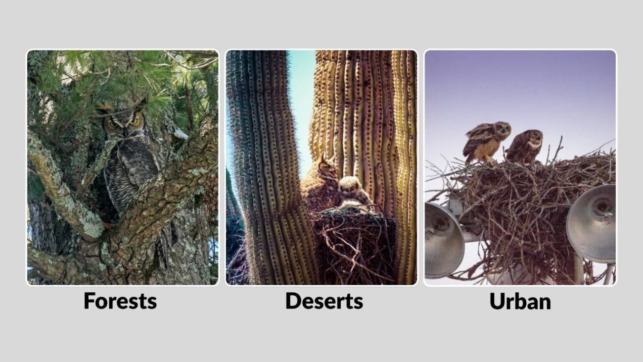 Nesting Sites by Habitat