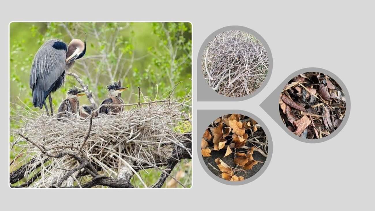 Heron Nest Construction and Materials