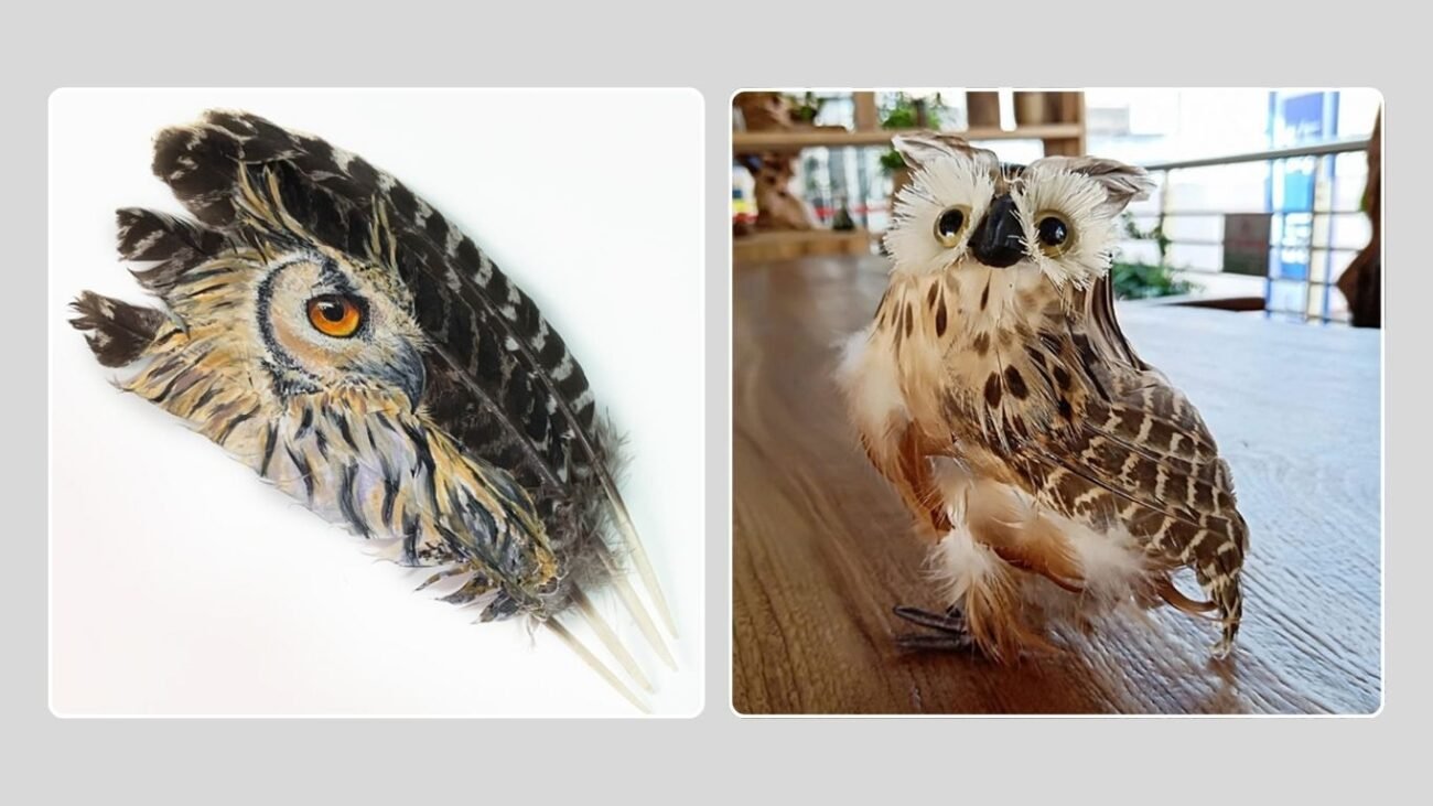 Ethical Alternatives and Photography
