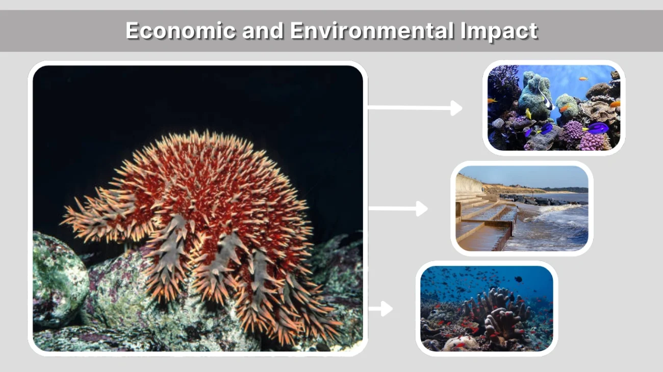 Economic and Environmental Impact