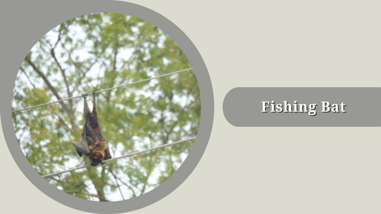 Fishing Bat