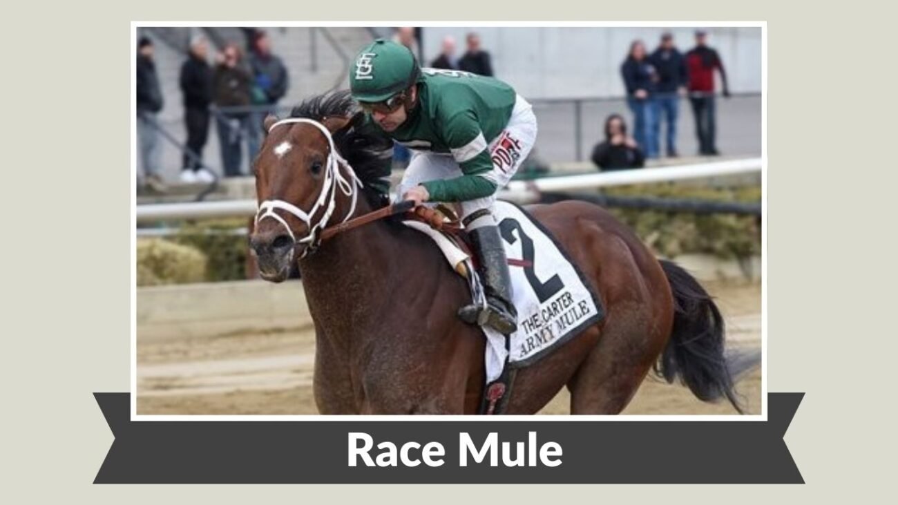  Race Mule
