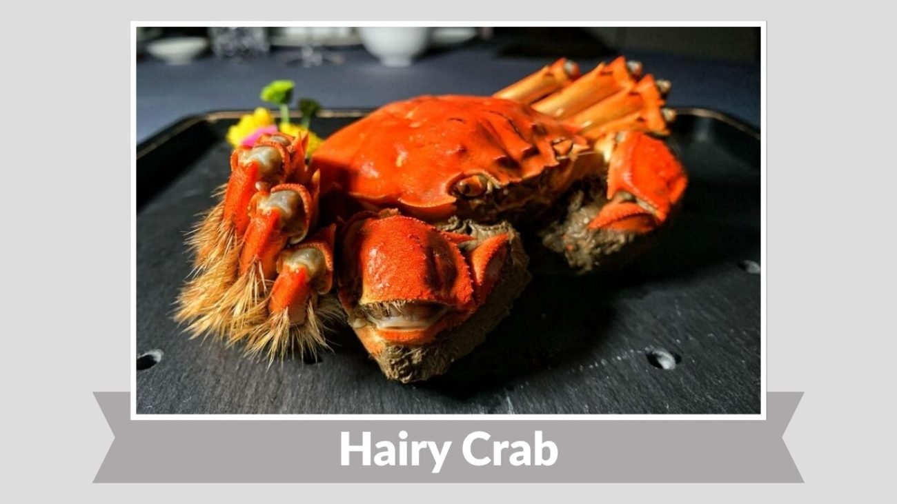 Hairy Crab