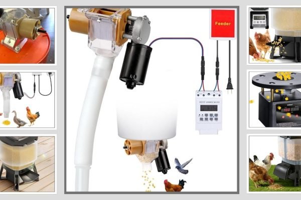 6 Best Automatic Chicken Feeders with Timer for Easy Poultry Care