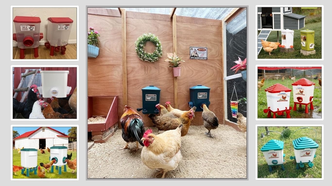11 Best Chicken Feeders and Waterers for your Flocks (Spring 2026) 